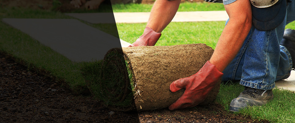 Ottawa Landscapers